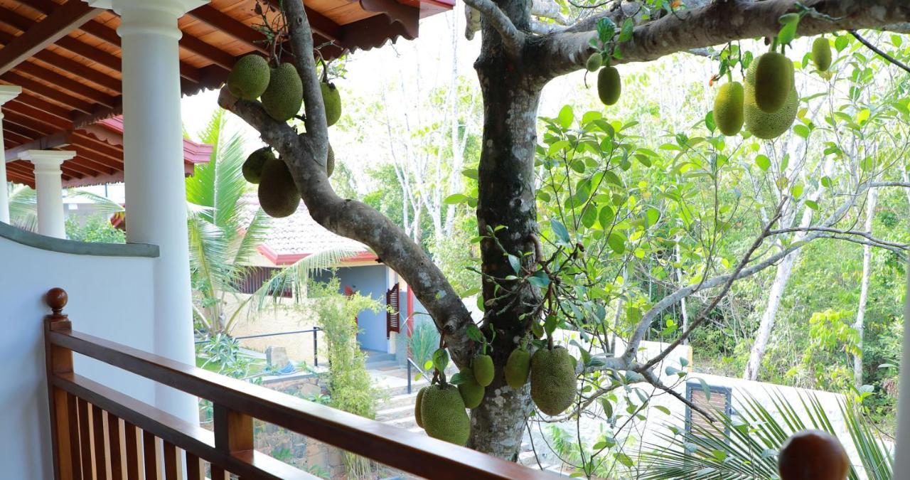 Terrace Garden Ayurveda Resort Велигама Экстерьер фото