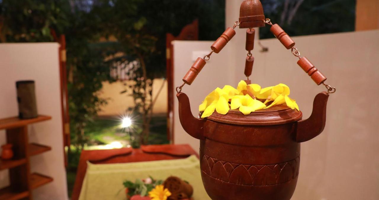 Terrace Garden Ayurveda Resort Велигама Экстерьер фото