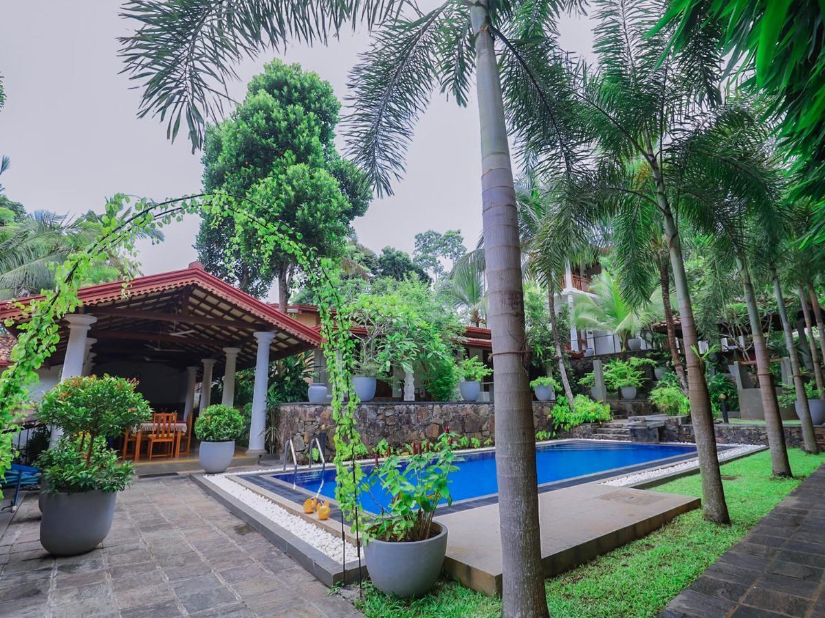Terrace Garden Ayurveda Resort Велигама Экстерьер фото