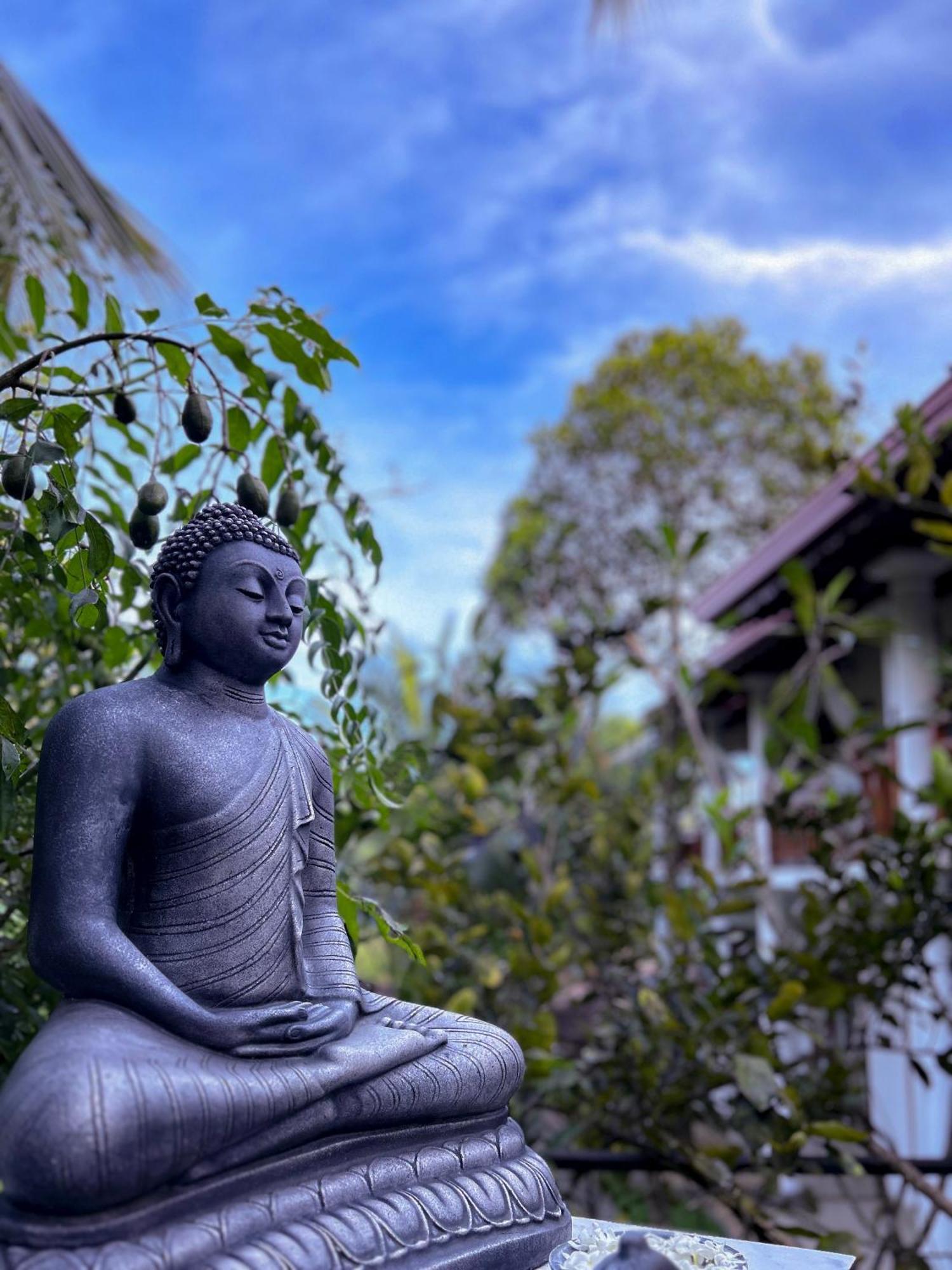 Terrace Garden Ayurveda Resort Велигама Экстерьер фото