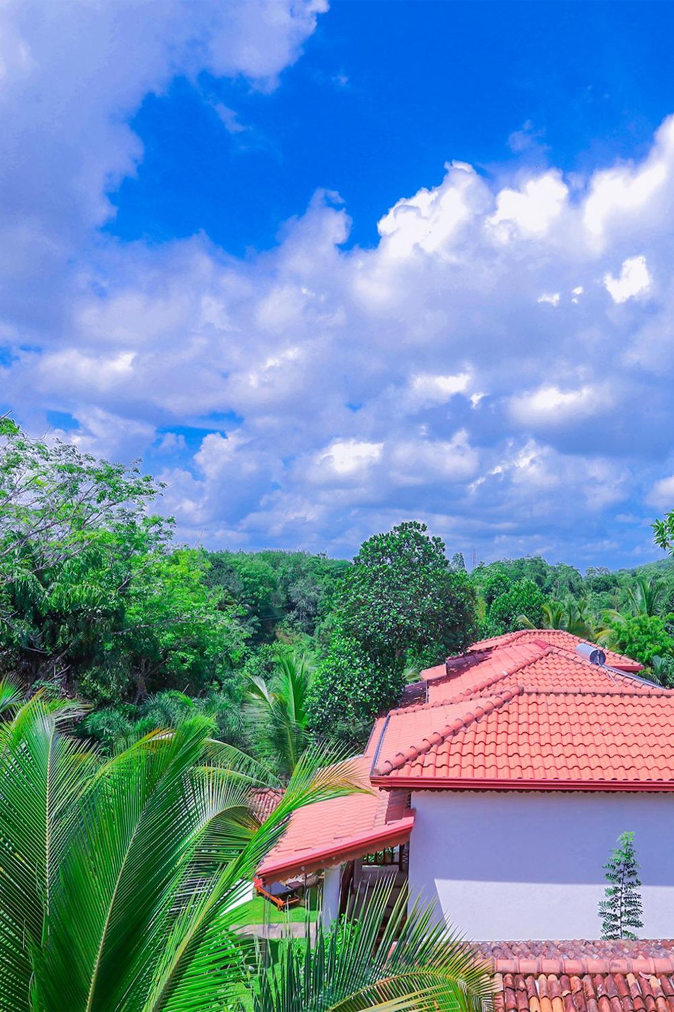 Terrace Garden Ayurveda Resort Велигама Экстерьер фото